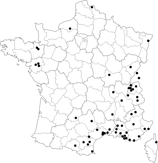 Barriquand Frydlender - Atelier d'architecture